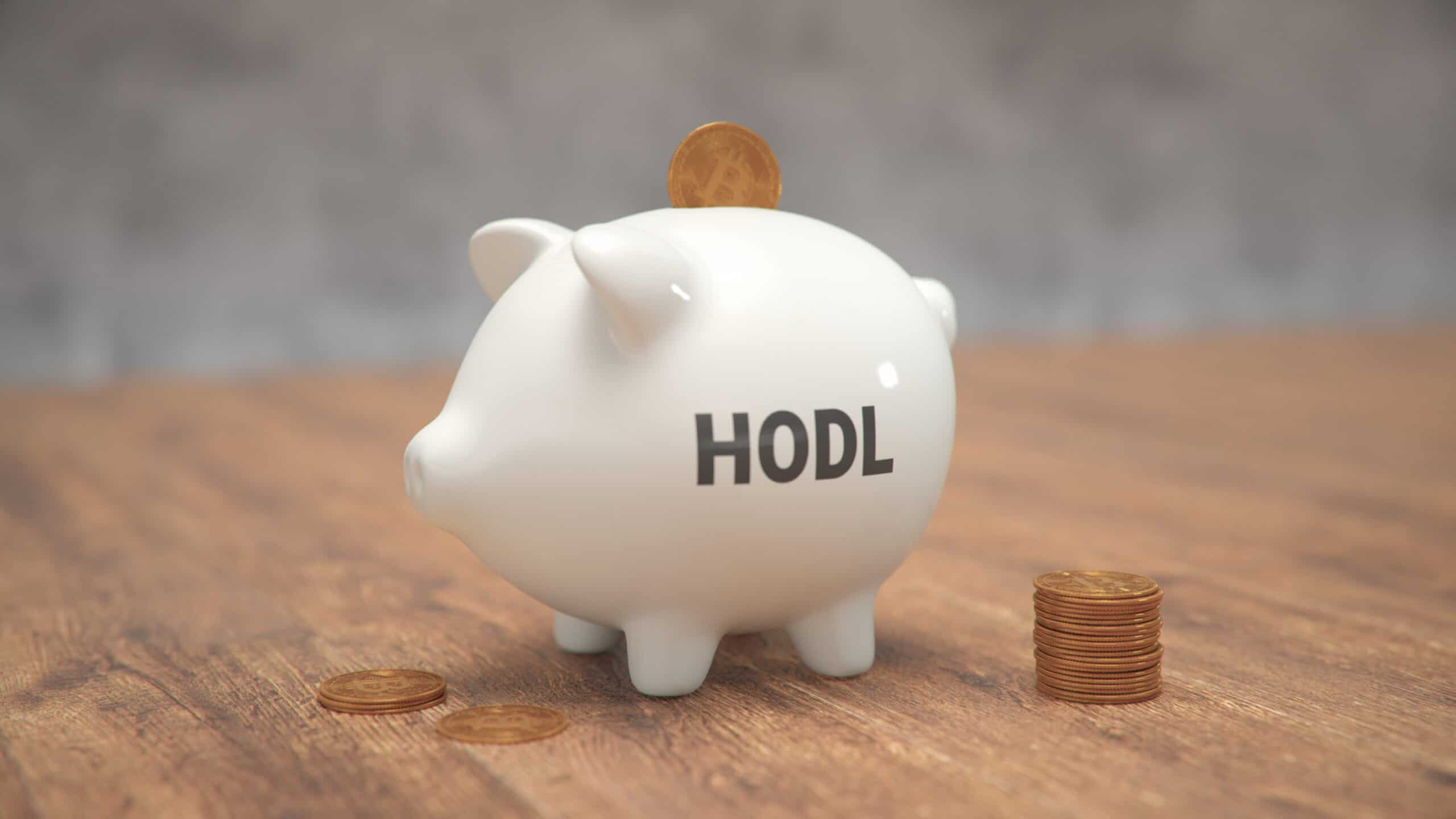 Hodl Sparschwein