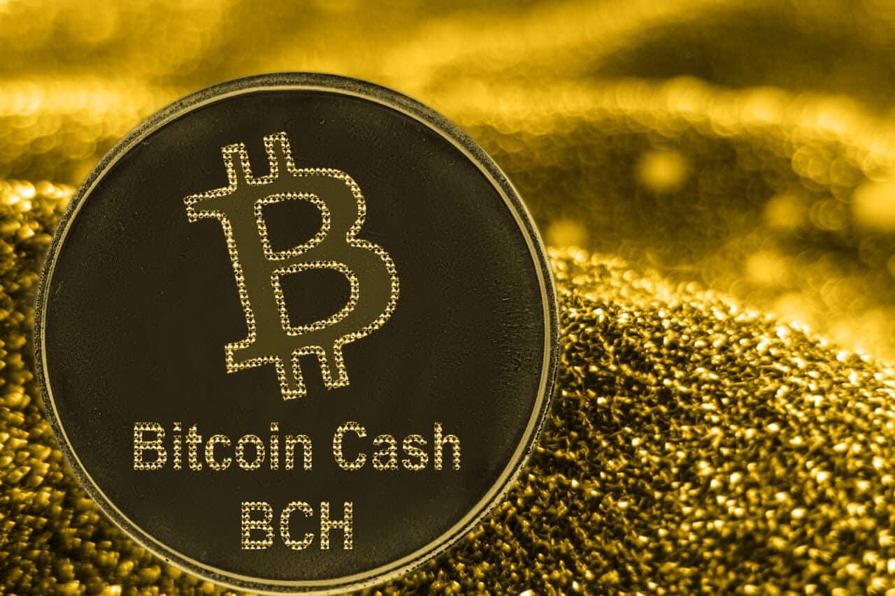 Bitcoin Cash Münze