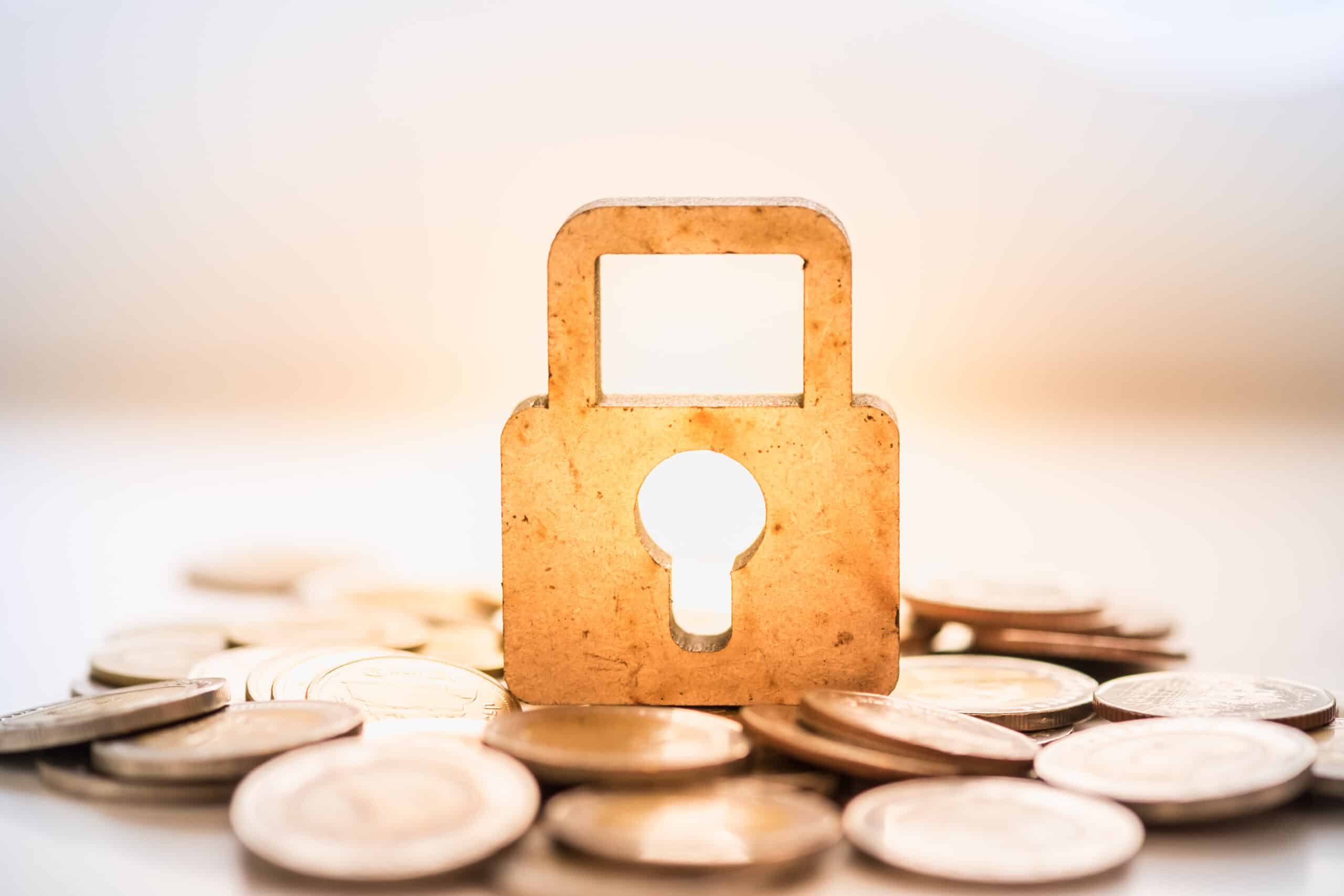 Privacy Coin