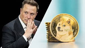 Dogecoin und Elon Musk