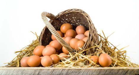 Chicken eggs in basket isolated. Organic food