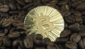 Coffee beans and bitcoin coins laying on white background