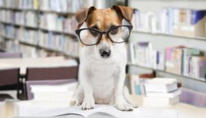 strict librarian back to school