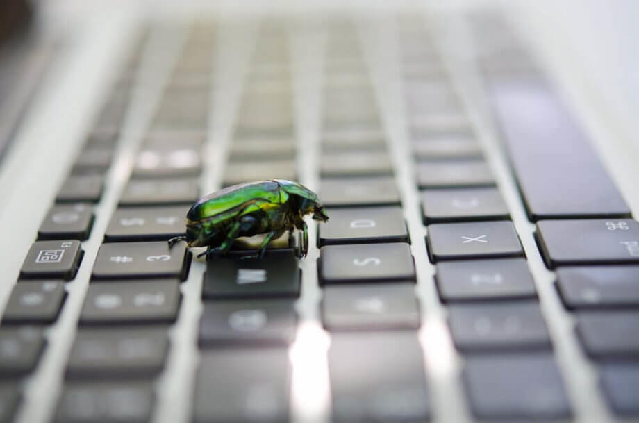 Bitwala: Mit dem Bug-Bounty-Programm Bitcoins verdienen