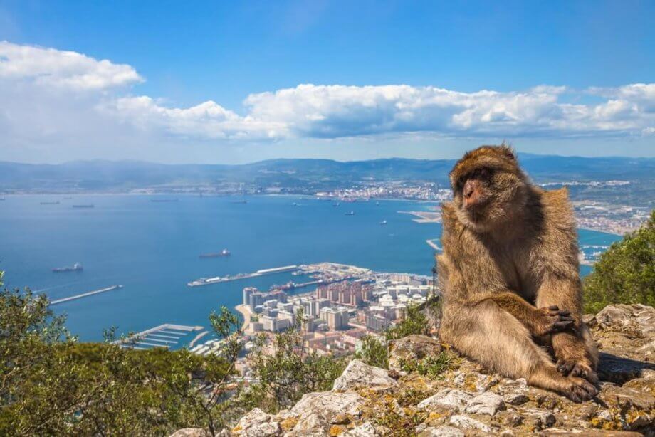 Gibraltar berät über Regulierungsansatz für ICOs