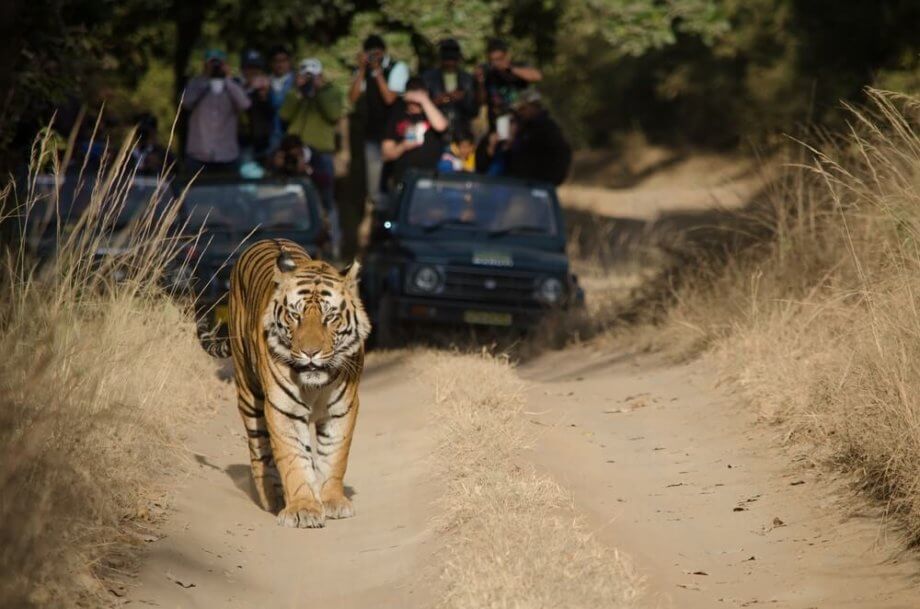 Tigerstaaten: Singapur verzichtet auf Krypto-Regulierung, Korea auf Öffnung