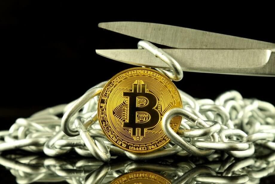 bitcoin cash november hard fork