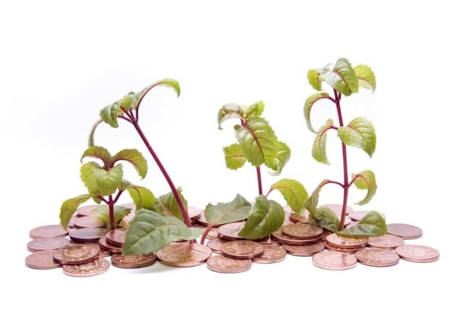 Altcoin – Marktanalyse KW2 – Rise of the Pennystocks
