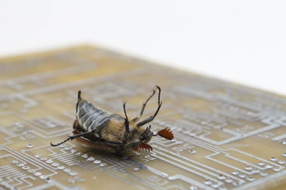 Ethereum: Bug entdeckt – Parity stellt Update bereit