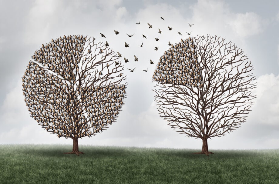 Fintechs und Blockchain-Start-ups: Konkurrenz oder Koexistenz?