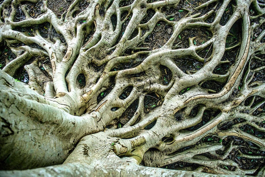 Mit Taproot mehr Privatsphäre für Bitcoin