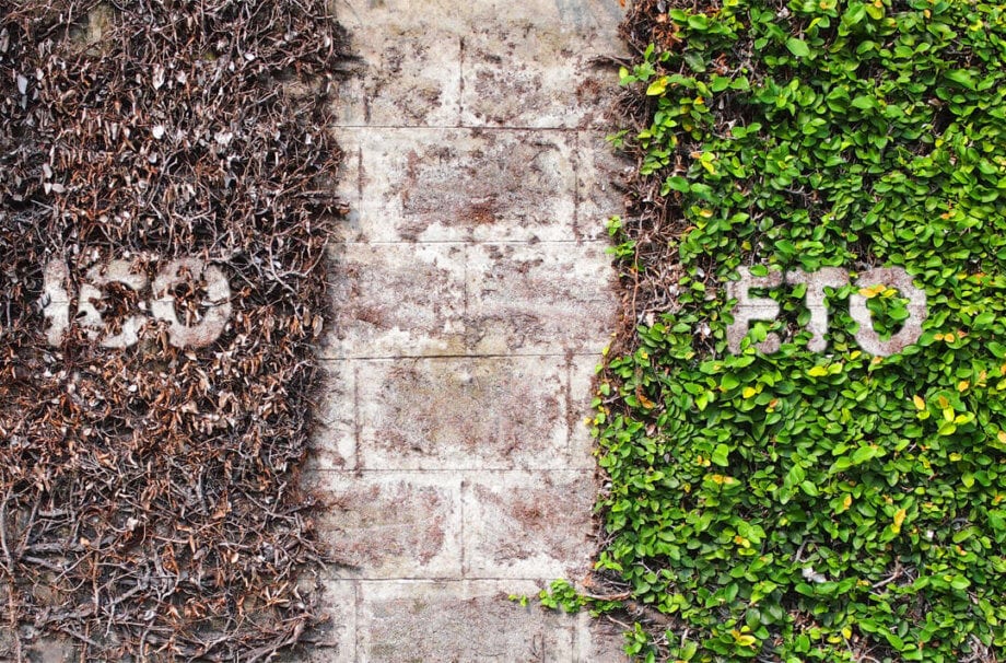 ICO-Alternative: Erstes ETO von Neufund am 27. November