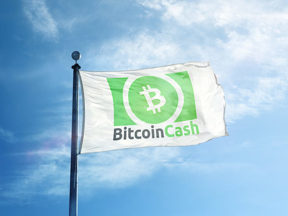 Aktuelle BCH- News | BTC-ECHO