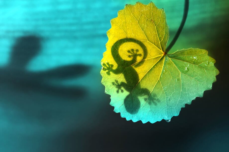 CoinGecko-Quartalsbericht: Krypto-Märkte gesünder als gedacht