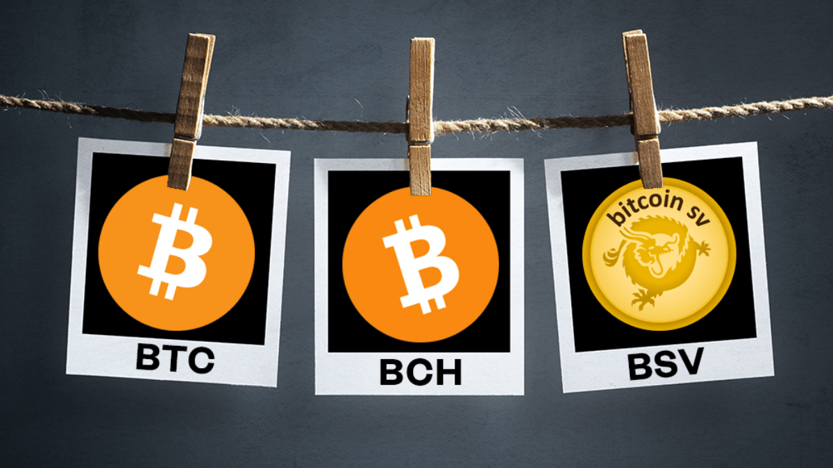 Bitcoin: Geschichte und Unterschiede von BTC, BCH und BSV