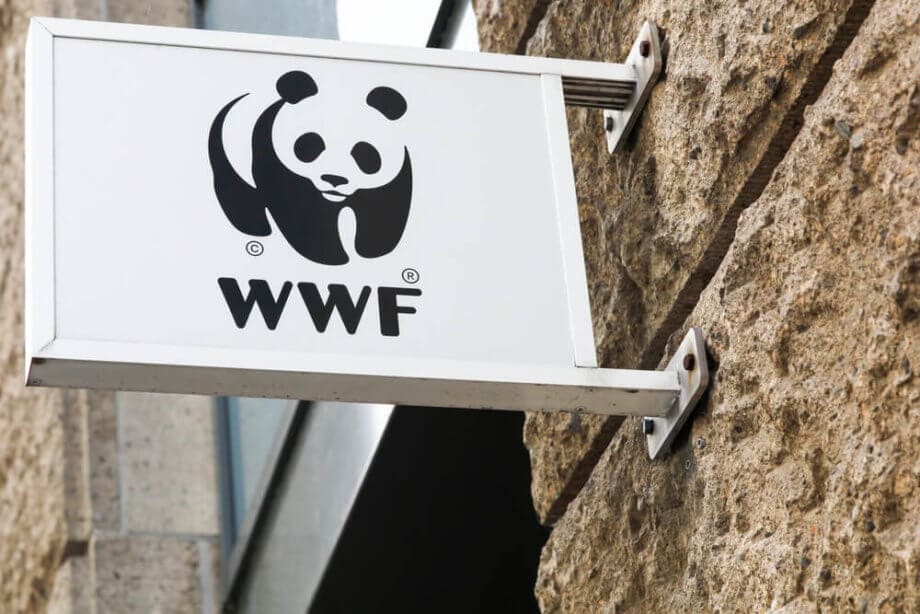 OpenSC: Mehr Transparenz im Konsum? WWF und BCG machens möglich