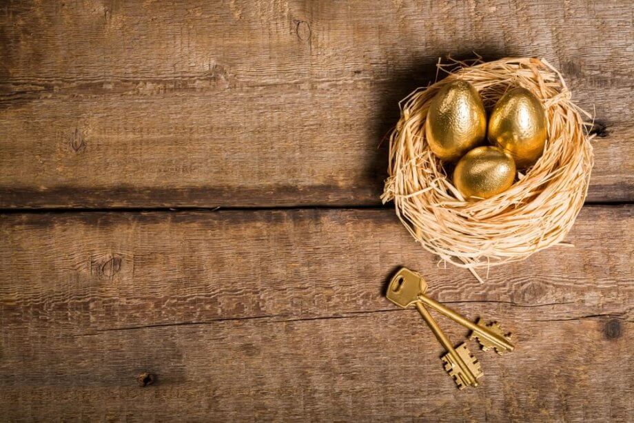 Operation „Goldene Gans“: Bitfury betreibt Bitcoin Mining in Paraguay