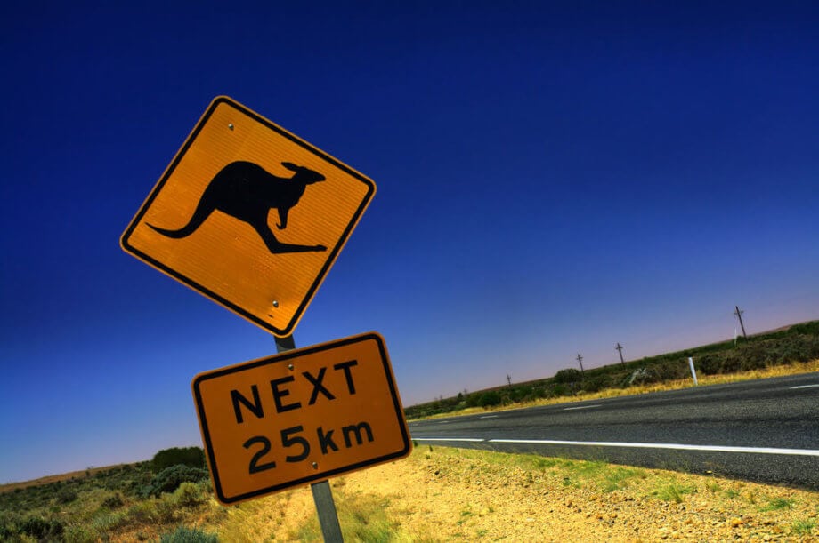 Frühstück mit Kängurus: Binance lanciert Cash-to-Crypto-Service in Down Under