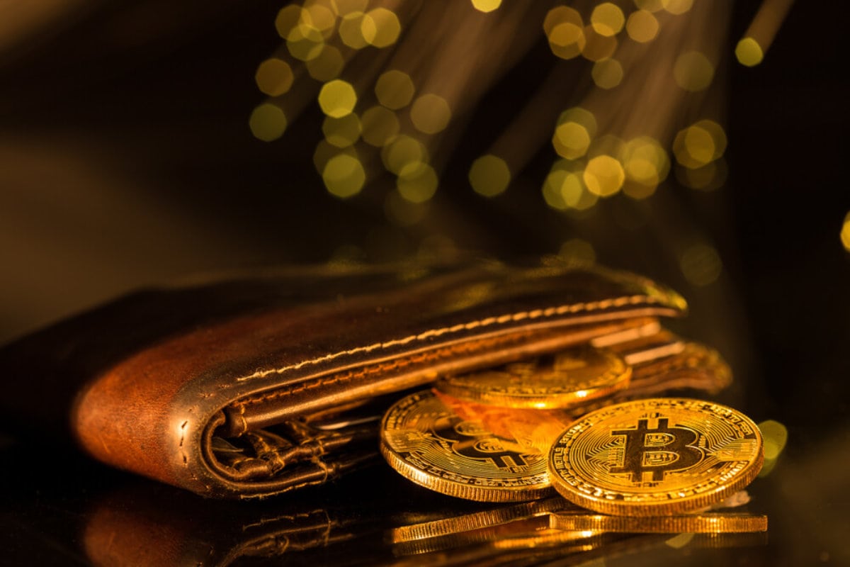 Der Hodl-Guide: 5 Arten von Bitcoin Wallets, die du kennen solltest