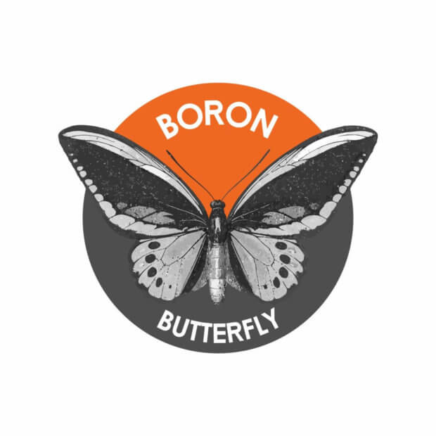Monero Hard Fork: Boron Butterfly fliegt ASICs davon