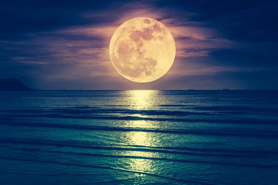 Mit Bitcoin Lightning Auf Amazon Bezahlen Moon Macht S Moglich Btc Echo