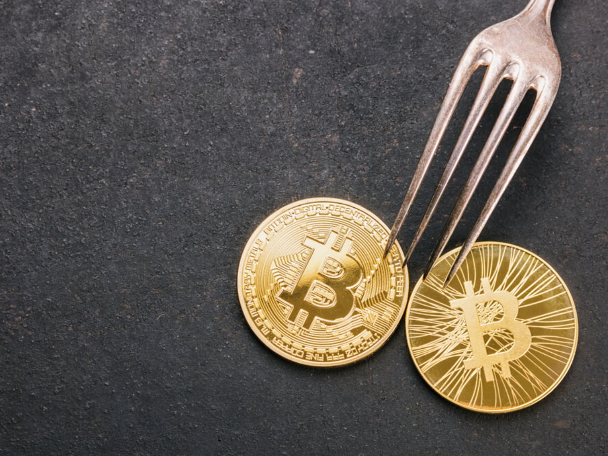 Aktuelle BCH- News | BTC-ECHO