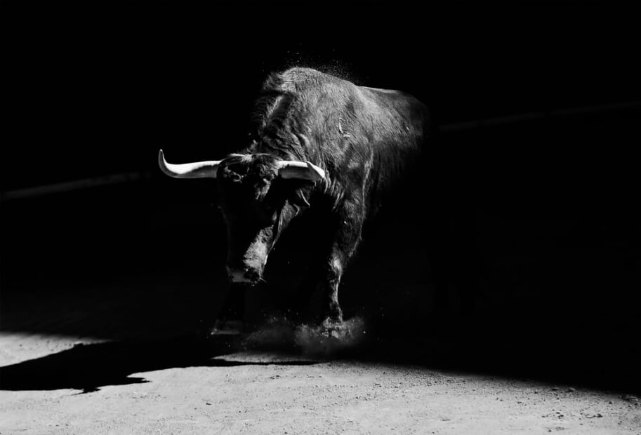 Bitcoin-Bullen gründen Krypto-Hedgefonds Adaptive Capital