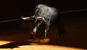 Bakkt Bitcoin Futures Bullrun