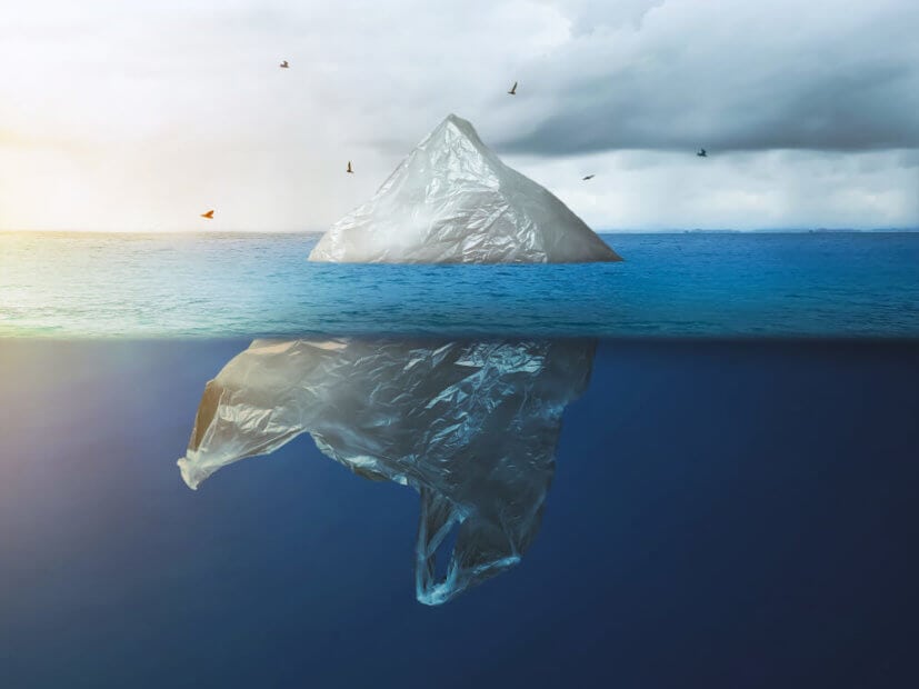Blockchain für die Nachhaltigkeit: ConsenSys und WWF wollen mit Impactio die Welt retten