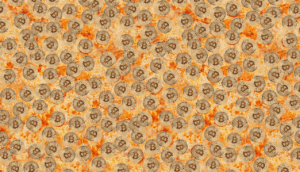Bitcoin wird 11 Geschichte des Bitcoins digitales Gold und Nischenwährung