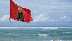 Bitcoin-kurs: Bärenflagge gesichtet