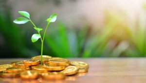 Krypto in der Schweiz Bitcoin Blockchain