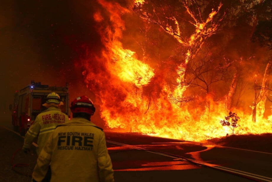 Krypto-Adaption: Mit Kryptowährungen Gutes tun: Spenden für Buschfeuer in Australien