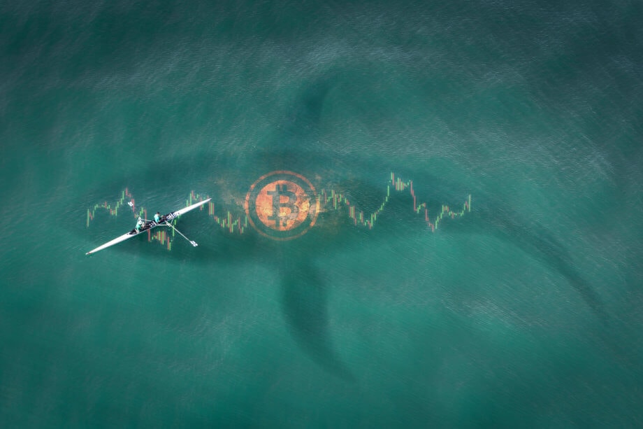 Skandal-Börse bewegt BTC in Milliardenhöhe – Einfluss auf Bitcoin-Kurs?