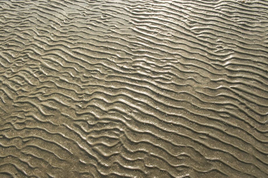 Ebbe bei Ripple: XRP-Verkäufe um 80 Prozent gesunken