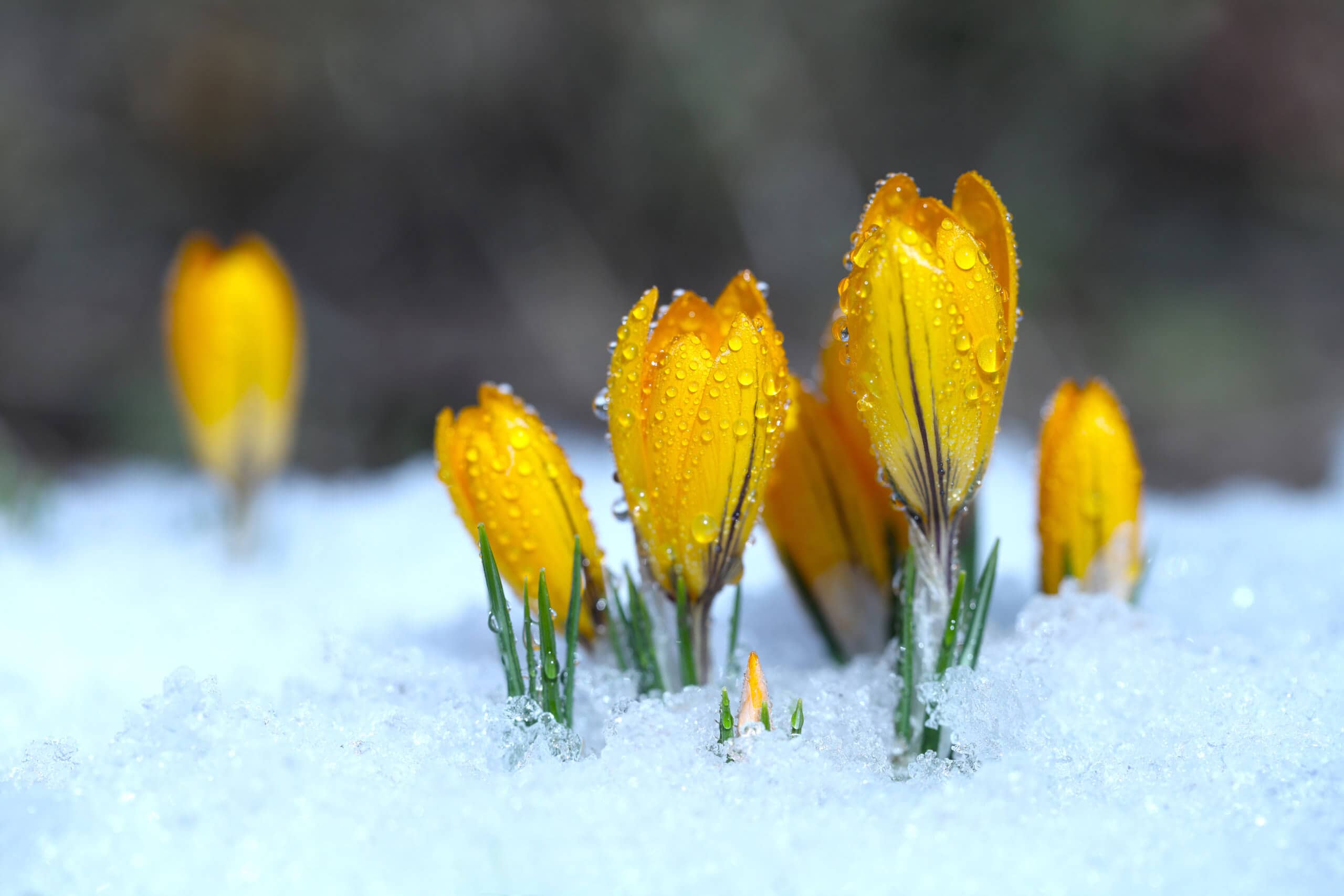 Bitcoin: Eiszeit oder neuer Frühling