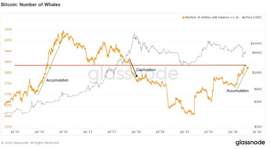 Bitcoin-Wale