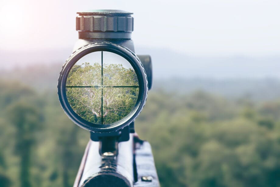 Die ICO-Jagd geht weiter: SEC nimmt Dropil ins Visier Baumkronen im Fadenkreuz
