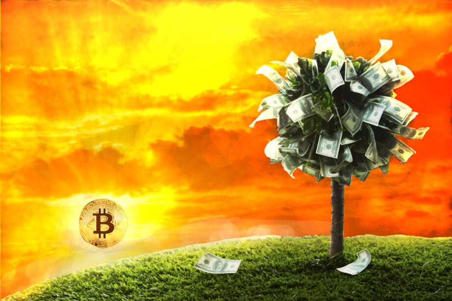 Wenn Geld auf Bäumen wächst: Zeit für Bitcoin | Das Meinungs-ECHO