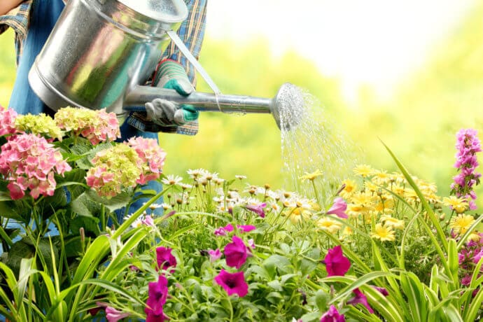 Ein farbenprächtiges Blumenbeet wird gegossen (Symbolbild)