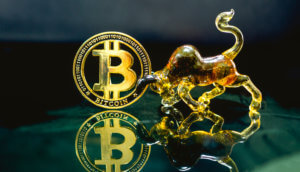 Ein goldenes Bitcoinsymbol, das von einem goldenen Stier aus Glas mit den Hörnern berührt wird als Symbol für den steigenden Bitcoin-Kurs