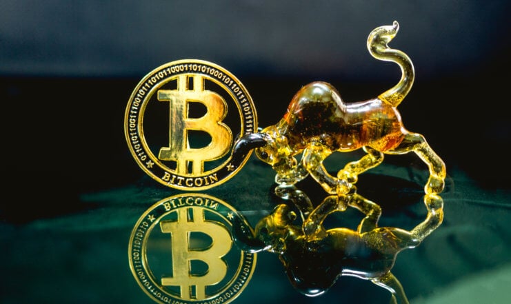 Ein goldenes Bitcoinsymbol, das von einem goldenen Stier aus Glas mit den Hörnern berührt wird als Symbol für den steigenden Bitcoin-Kurs