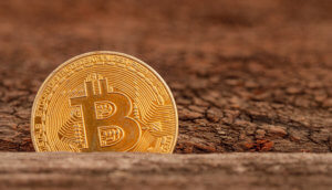 bitcoin-münze versinkt in einer spalte zwischen zwei holzplatten