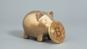 ein goldenes sparschwein, vor dessen schnauze eine bitcoin münze steht vor einem grauen hintergrund