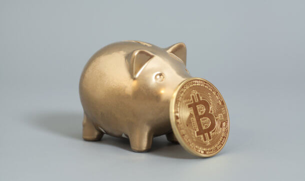 ein goldenes sparschwein, vor dessen schnauze eine bitcoin münze steht vor einem grauen hintergrund