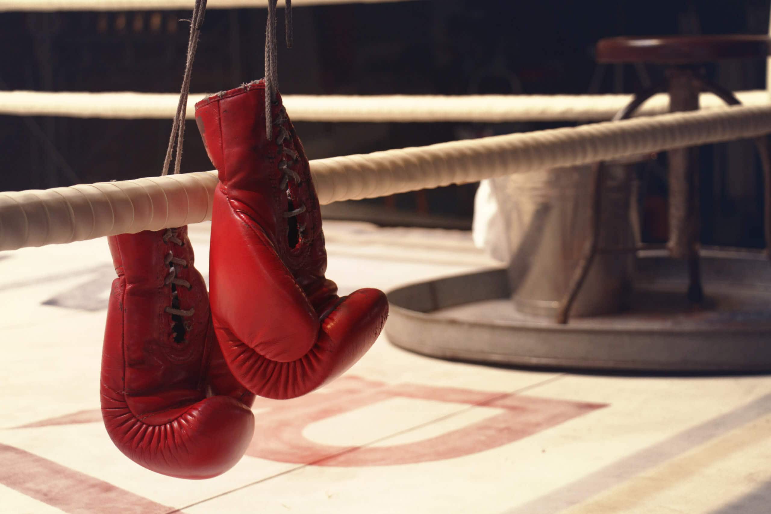 Ein Paar Boxhandschuhe hängt auf den Seilen eines Boxrings