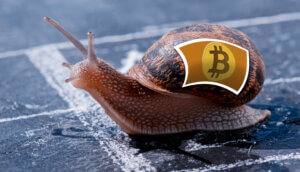 Schnecke mit Bitcoin-Logo auf dem Haus