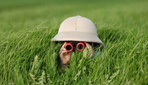 Ein kleiner Junge mit Safari-Hut und Sonnenbrille lauert im hohen Gras