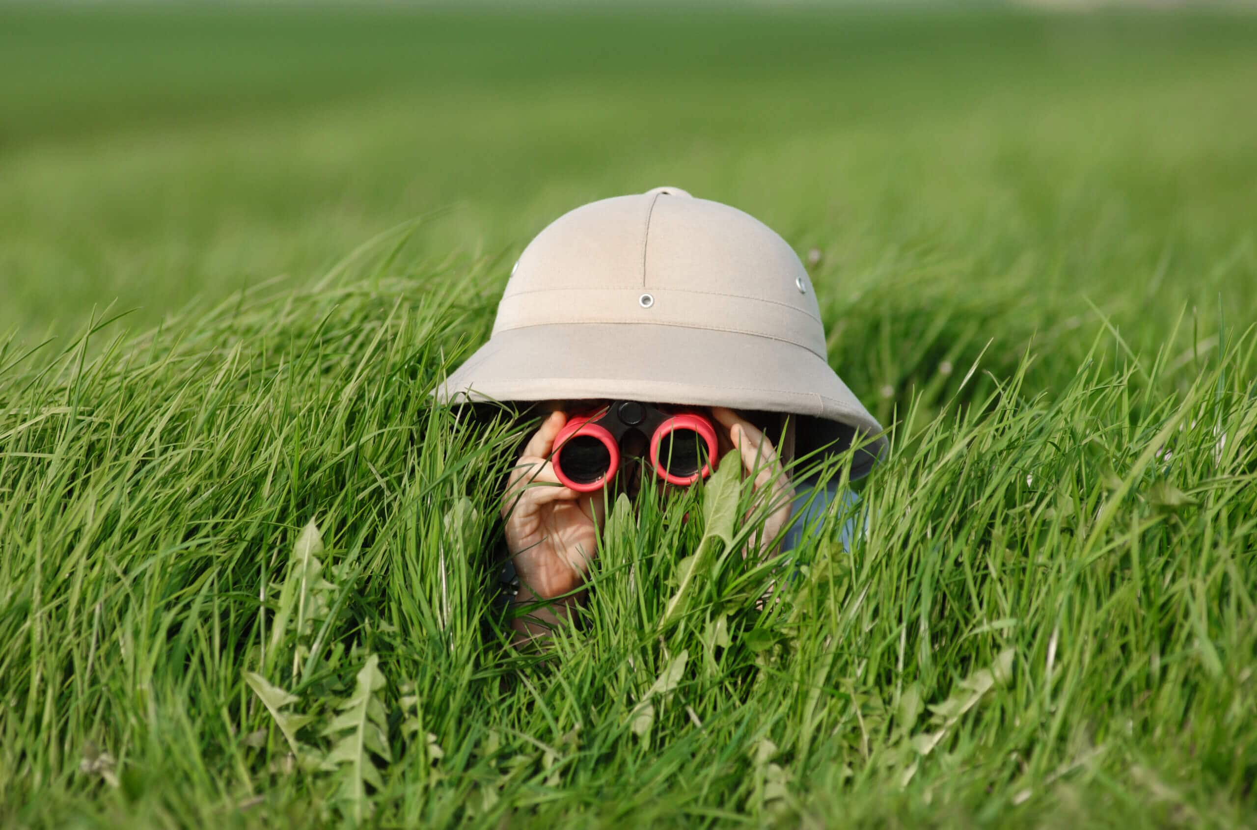 Ein kleiner Junge mit Safari-Hut und Sonnenbrille lauert im hohen Gras