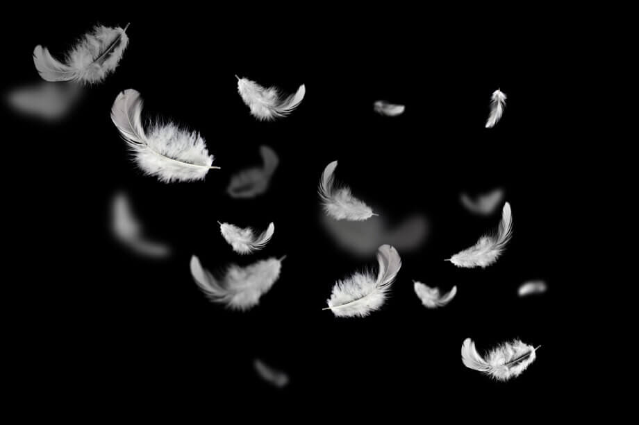 Krypto-Markt: Ethereum, IOTA und Ripple müssen weiter Federn lassen weiße federn, die über einen schwarzen hintergrund in der gegend herum fliegen, die vielleicht von einem gerupften huhn stammen könnten